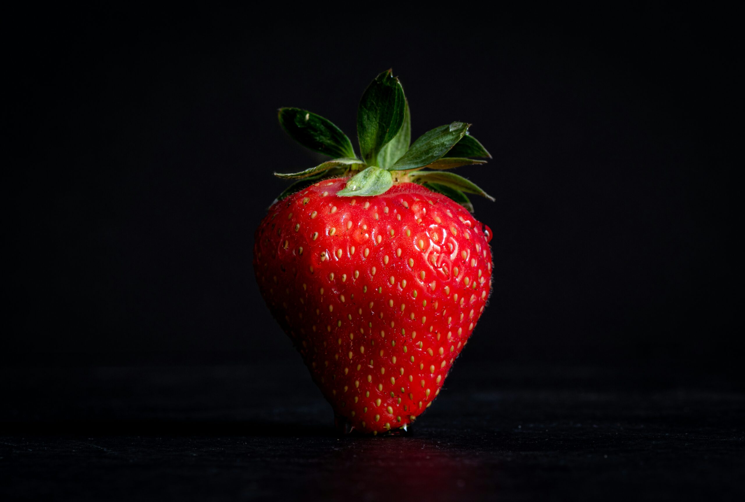 Fragaria × ananassa