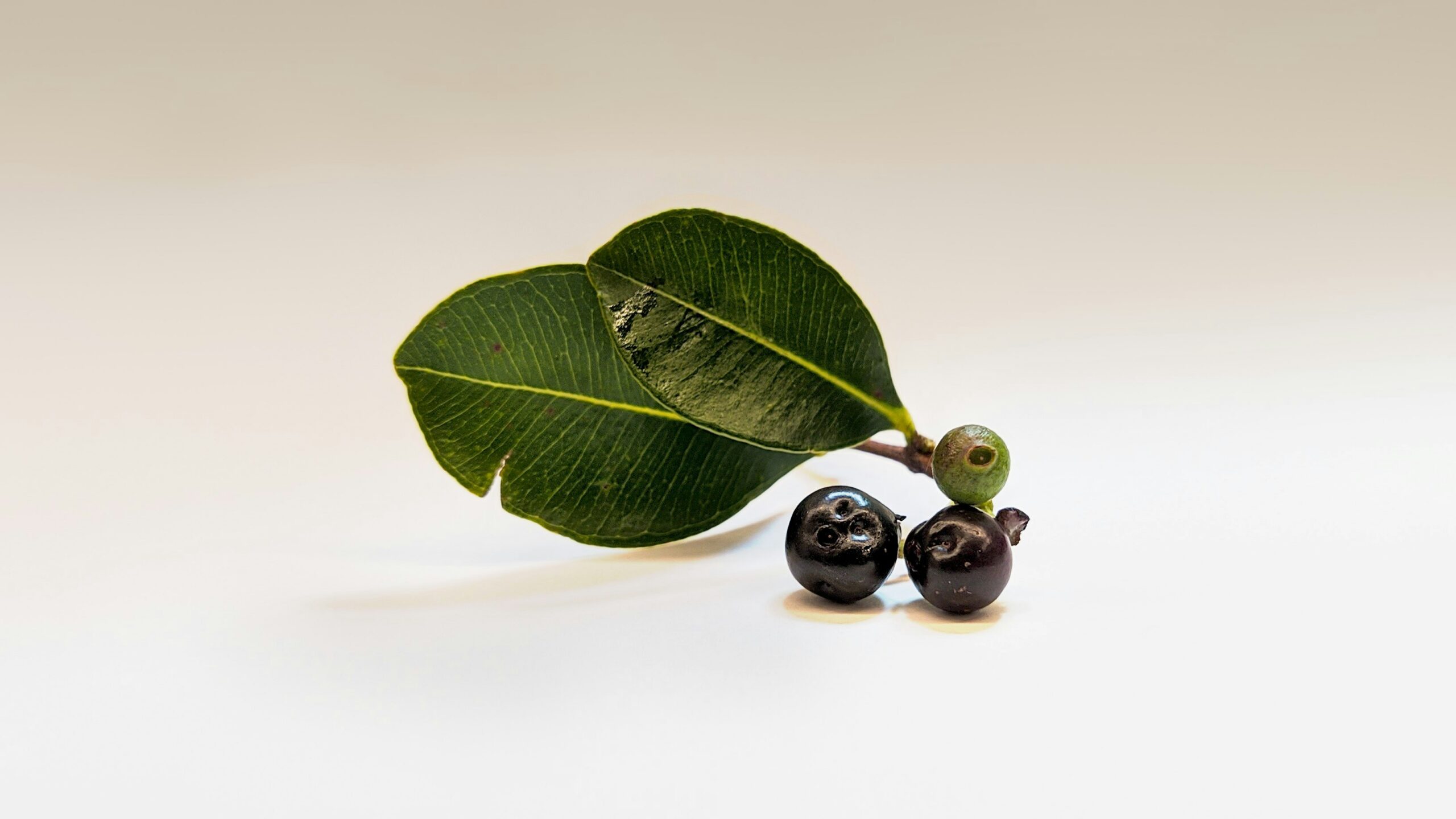 Acai-berry