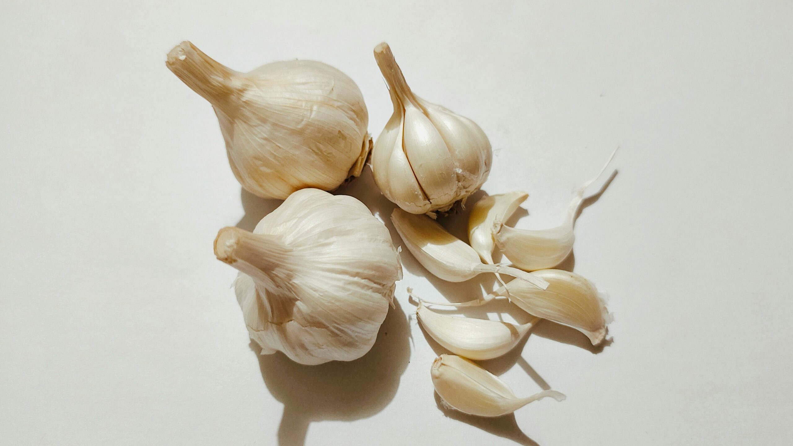 Aged Garlic Extract